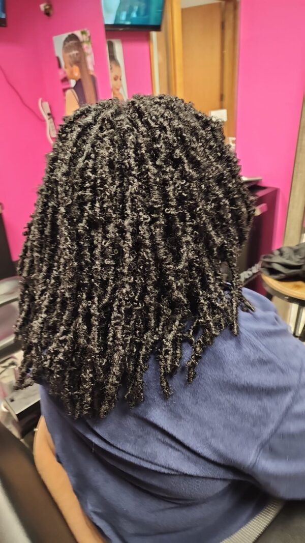 beauty salon, hair braids, hair styling near me, best hair salon near me, braids near me, braid stylist, african hair braiding, 6